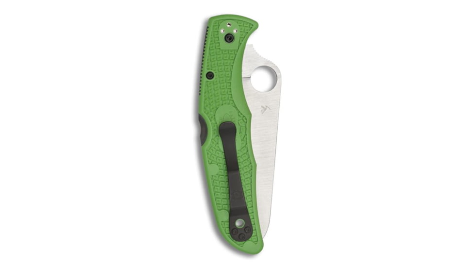 Spyderco Pacific Salt 2 Folding Knife, 3.78in, H-1, FRN, Plain, Green, C91FPGR2
