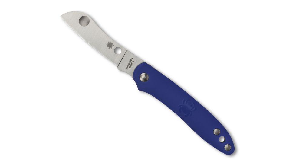 Spyderco Roadie Folding Knife, 2.09in, N690Co, Wharncliffe Blade, Plain Edge, FRN Blue Handle, C189PBL