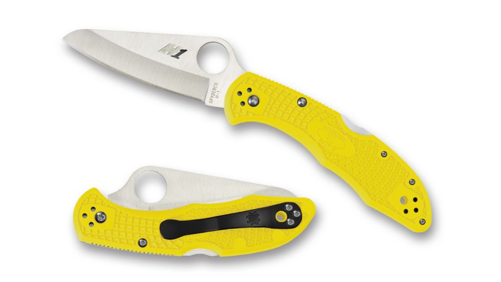 Spyderco Salt 2 Lockback Folding Knife, C88PYL2