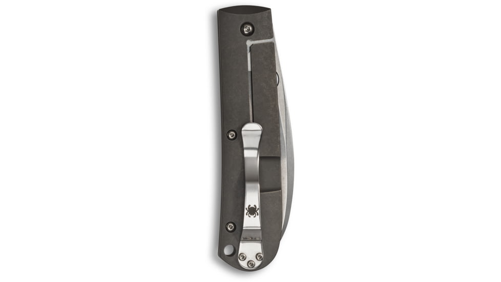 Spyderco SwayBack Folding Knife, 3.53in, CTS XHP Steel, Wharncliffe Blade, Titanium Handle, Designed by Marcin Slysz, Titanium, C249TIP