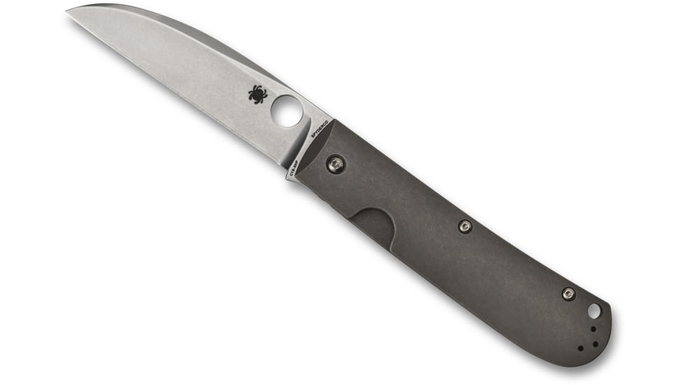 Spyderco SwayBack Folding Knife, 3.53in, CTS XHP Steel, Wharncliffe Blade, Titanium Handle, Designed by Marcin Slysz, Titanium, C249TIP