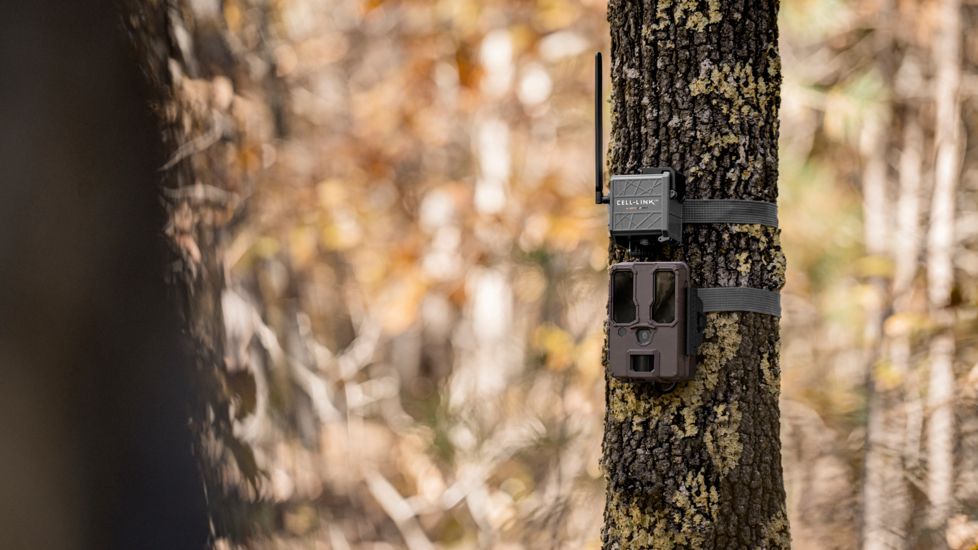 Spypoint CELL-LINK Trail Camera, Nationwide Cell Service, Grey, CELL-LINK