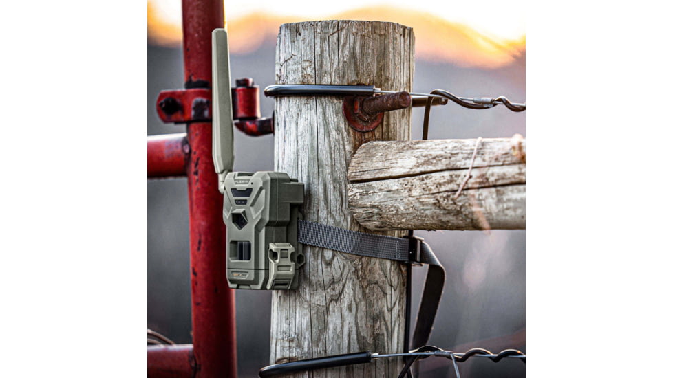 Spypoint FLEX-M Cellular Trail Camera - Twin Pack F4BA2688