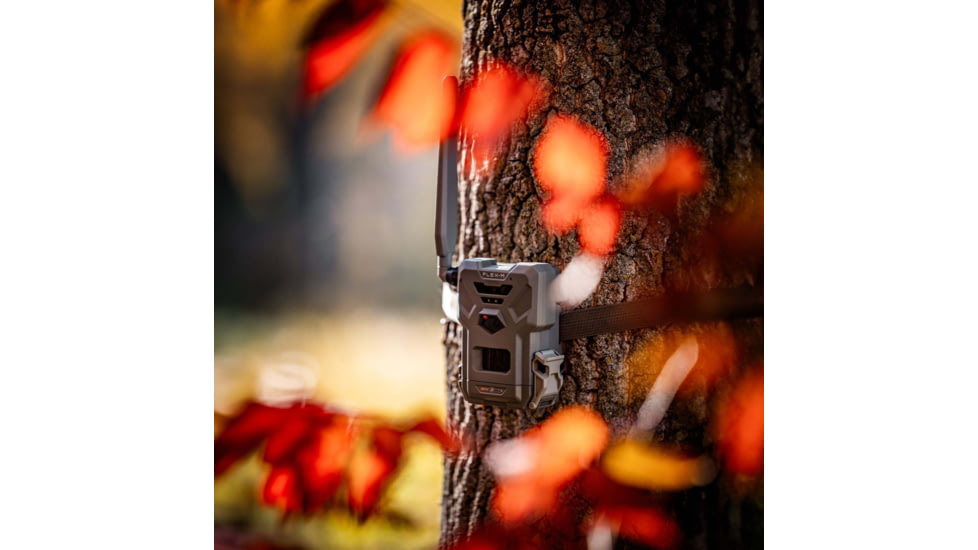 Spypoint FLEX-M Cellular Trail Camera - Twin Pack F4BA2688