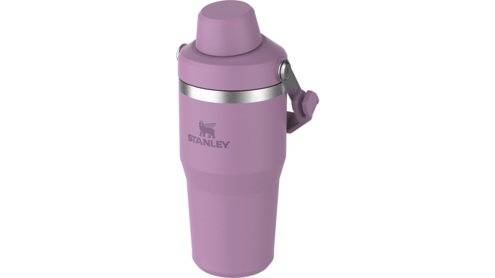 Stanley The IceFlow Fast Flow 20 oz Tumbler with Fast Flow Lid, Lilac, 20 oz / 0.59 L, 10-11300-005