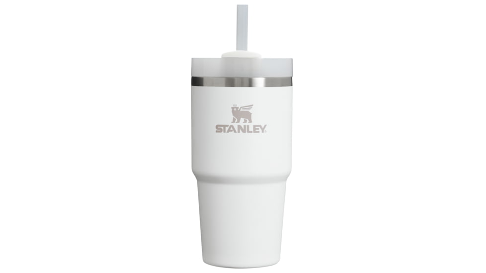 Stanley The Quencher H2.O FlowState Tumbler, Frost, 20 oz/0.59 L, 10-10826-145