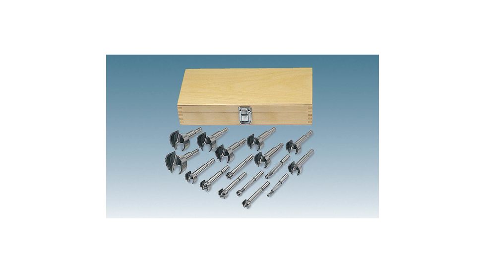 Steelex 16 pc. Forstner Bit Set, 1/4in 2-1/8in D1030