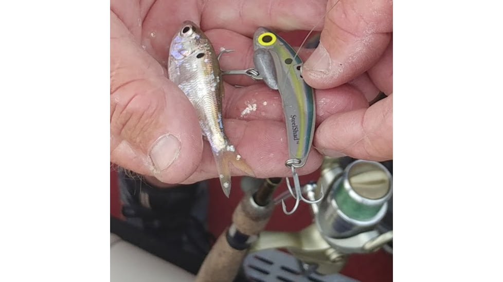 SteelShad Heavy, 1/2 Oz, Sexy Shad, SSL-10123