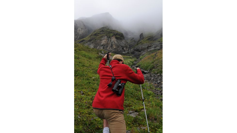 Steiner 10x44 Wildlife XP Binoculars, 10x44 2303