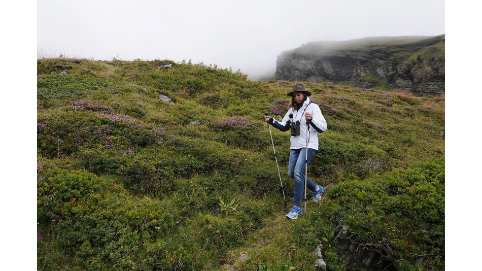 Steiner 10x44 Wildlife XP Binoculars, 10x44 2303