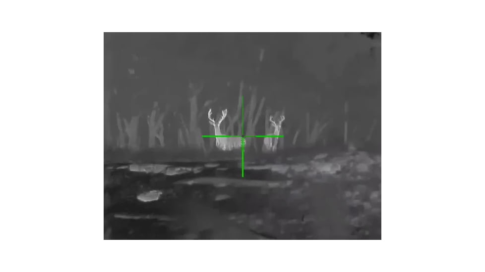 Steiner Nighthunter S35 Gen II Thermal Imaging Rifle Scope, Black, 9526