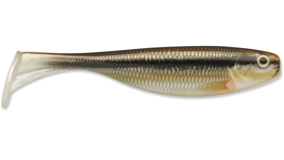 Storm Largo Shad, 4", Live Minnow, 6pk, LGS4LMN