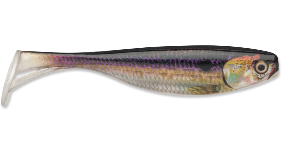 Storm Largo Shad, 4", Live Threadfin Shad, 6pk, LGS4LTFD