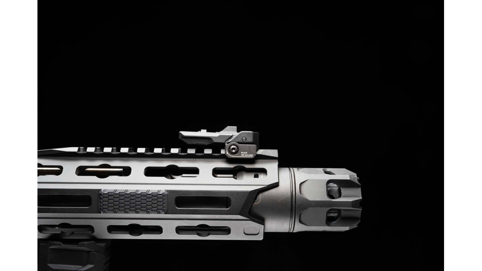 Strike Industries Polymer Backup Sights, Black, SI-SPBUS