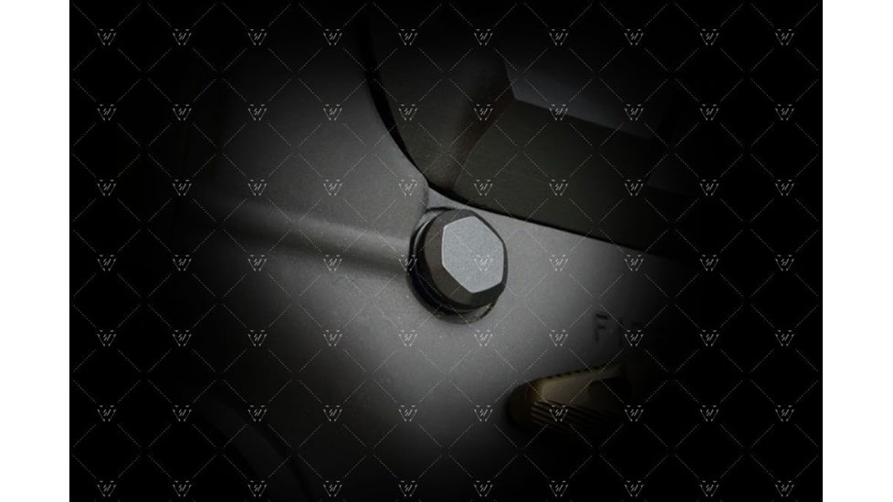 Strike Industries Ultra Light Pivot Takedown Pins, Black, One Size, SI-AR-UL-EPTP-BK
