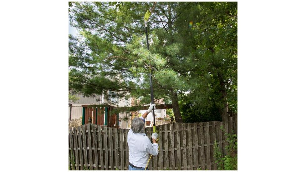 Sun Joe 10-Inch 8-Amp Electric Pole Chain Saw, Green SWJ803E