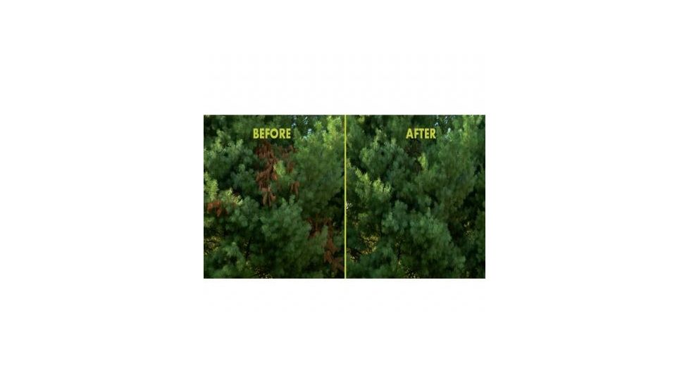 Sun Joe 8-Inch 6.5-Amp Electric Pole Chain Saw, Green SWJ802E