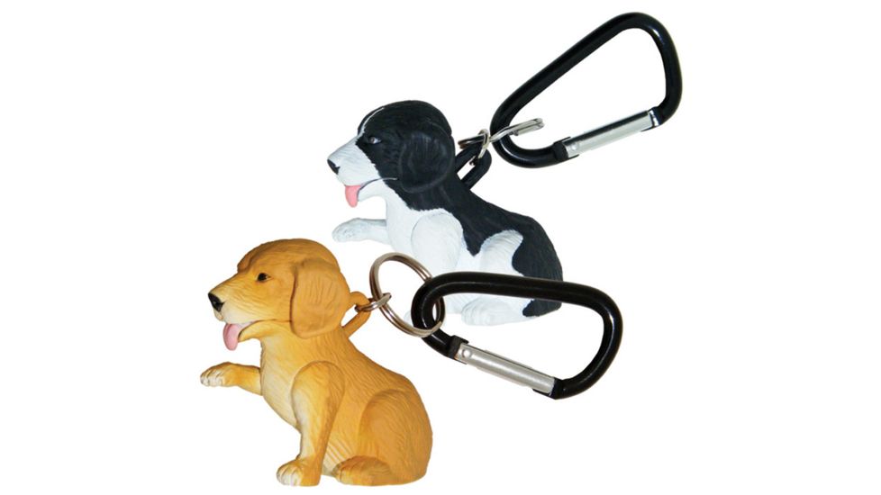 Sun Wildlight - Dog 640