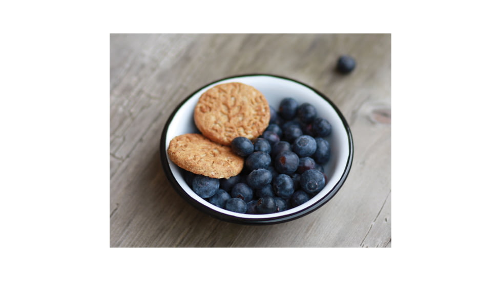 Swiss Advance COELO Enamel Cereal Bowl