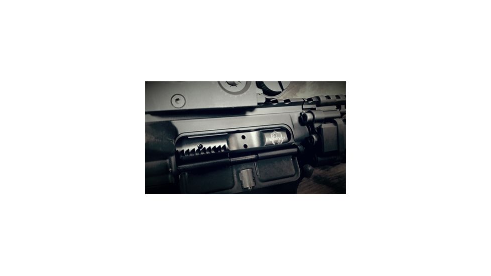 Tactical Edge DLC Bolt Carrier Group 5.56, Black 856358007037