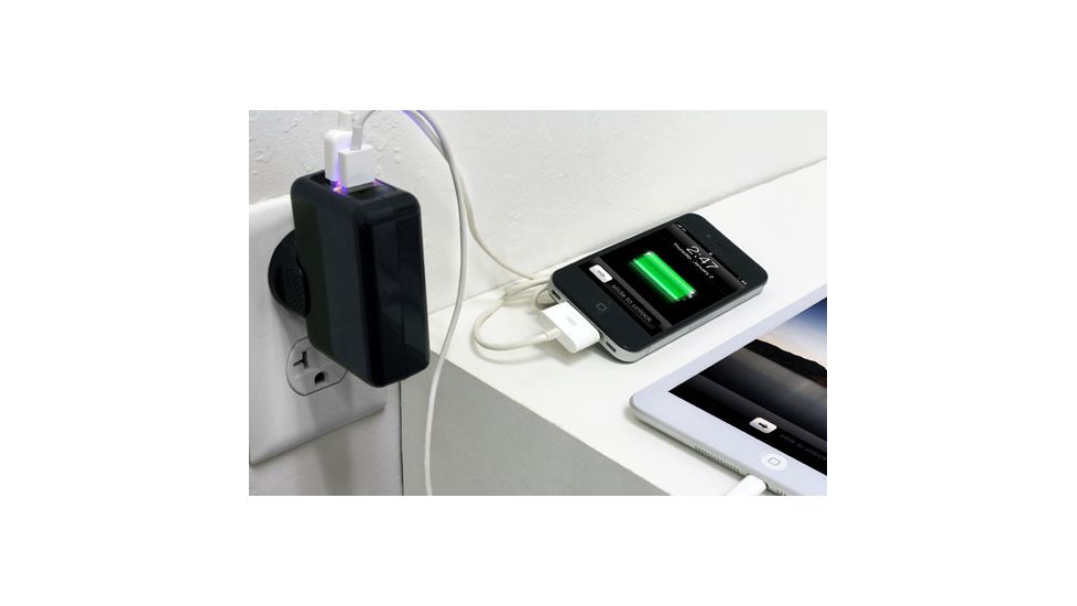 Tenergy 2 Port USB AC Wall Charger, Black 51081