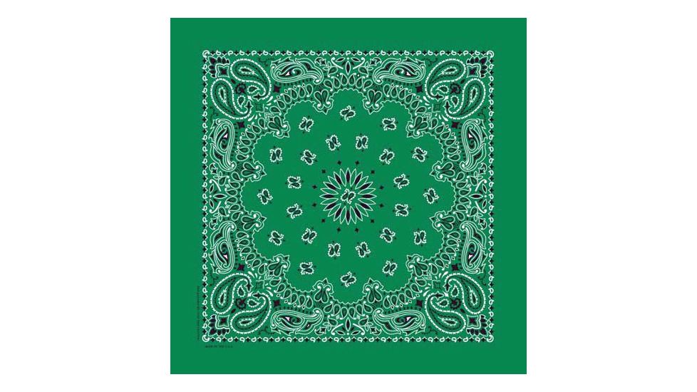 Carolina Manufacturing Paisley Kelly, Kelly, BAN-00053