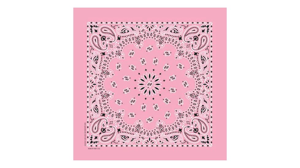 Carolina Manufacturing Paisley Light Pink, Paisley Light Pink, BAN-00220
