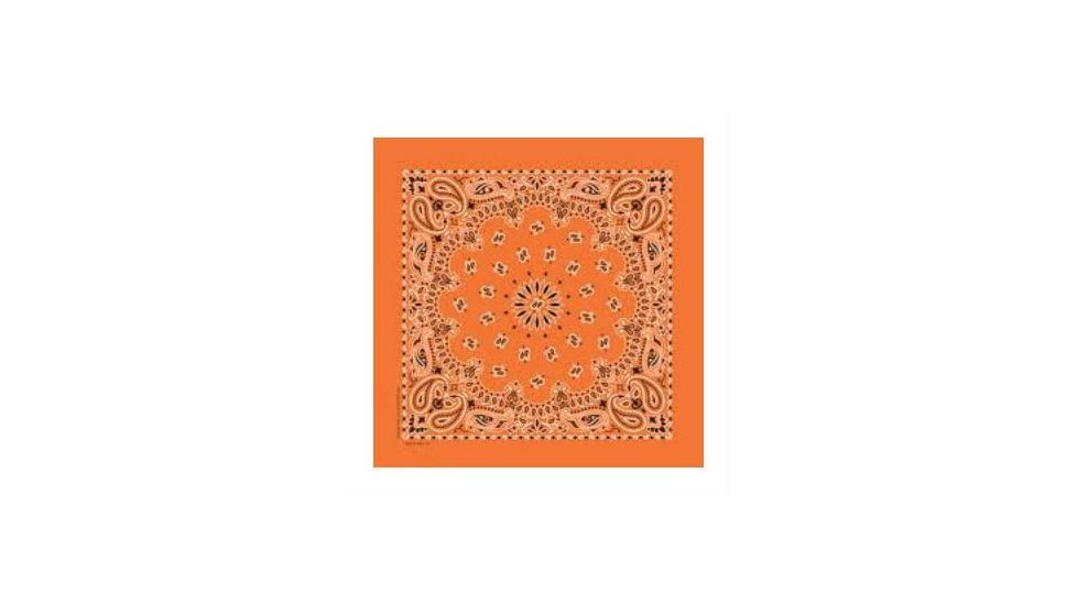 Carolina Manufacturing Paisley Orange, Orange, BAN-B22PAI-000009