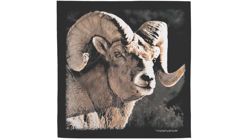 The Printed Image Bighorn Bandana 643