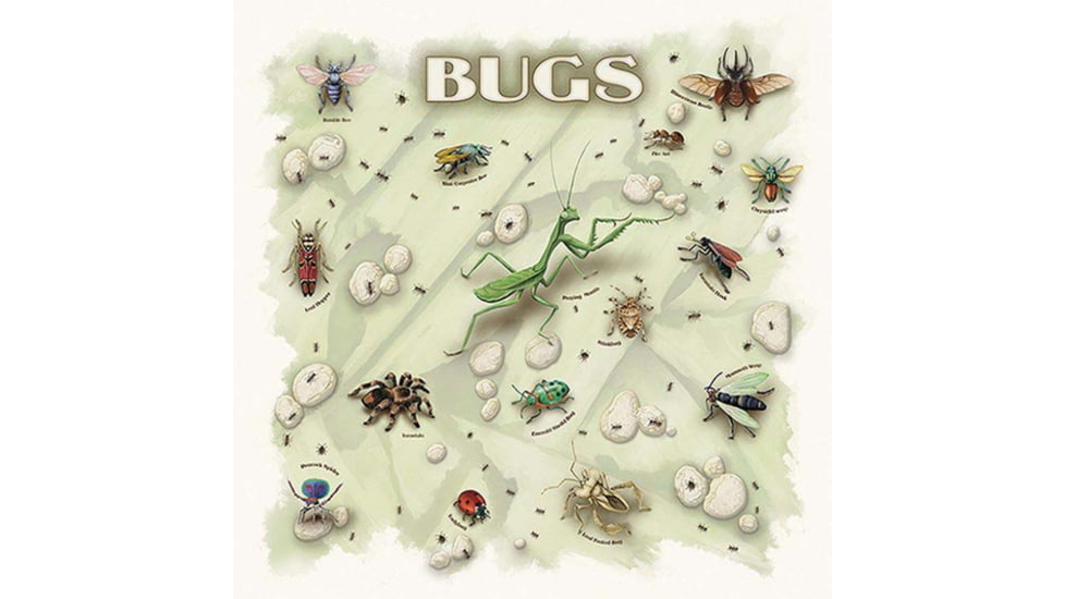 The Printed Image Bugs Bandana, Natural, 609