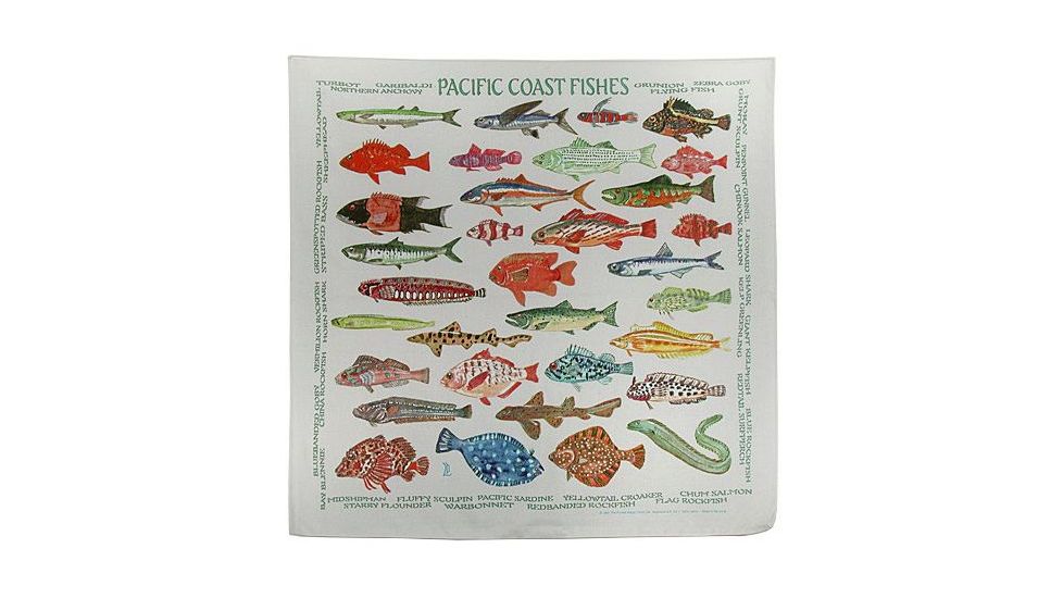 The Printed Image , Pacific Coast Fishes, Pacific Coast Fishes, PIM-368