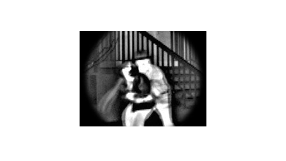 L3 Thermal Eye X50 Thermal Imaging Camera NTSC 1000380 0001