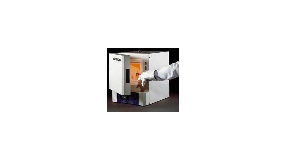 Thermo Fisher Scientific Lindberg/Blue M Furnaces100 C, Each, Thermo Fisher Scientific Scientific Furnaces With Programmable Controller, BF51848C