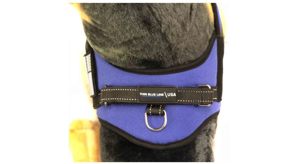 Thin Blue Line Dog Harness, , Thin Blue Line - DOG-HARN-TBL-LARGE-KIT