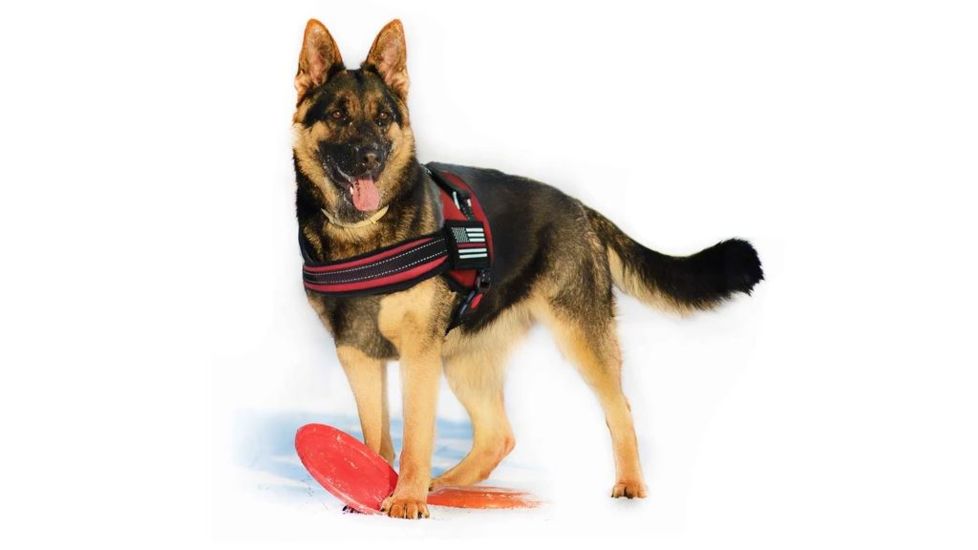 Thin Blue Line Dog Harness, , Thin Red Line - DOG-HARN-TRL-LARGE-KIT