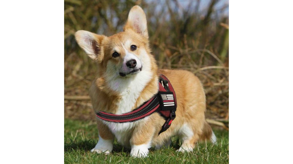 Thin Blue Line Dog Harness Thin Red Line - DOG-HARN-TRL-XXXL-KIT