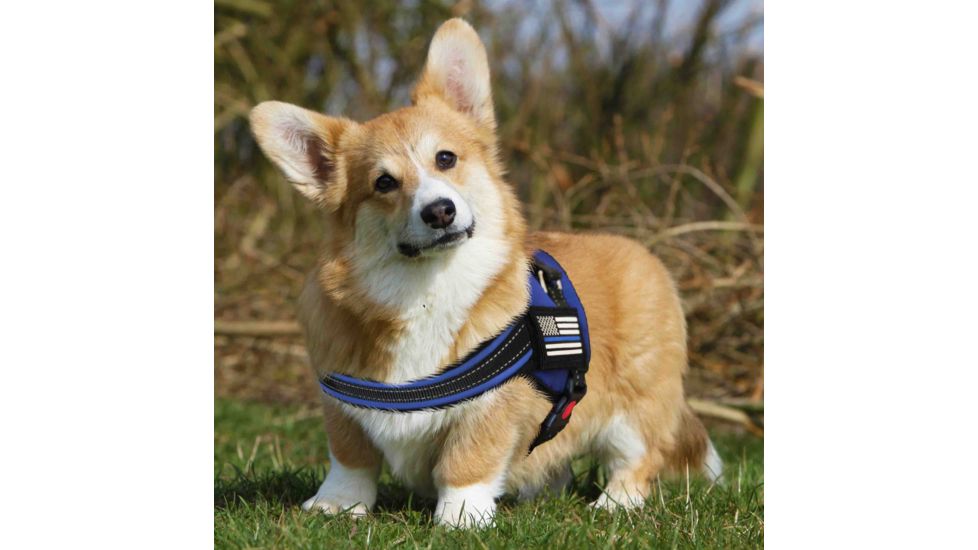 Thin Blue Line Harness With Patch, Thin Blue Line - DOG-HARN-TBL-MEDIUM-KIT