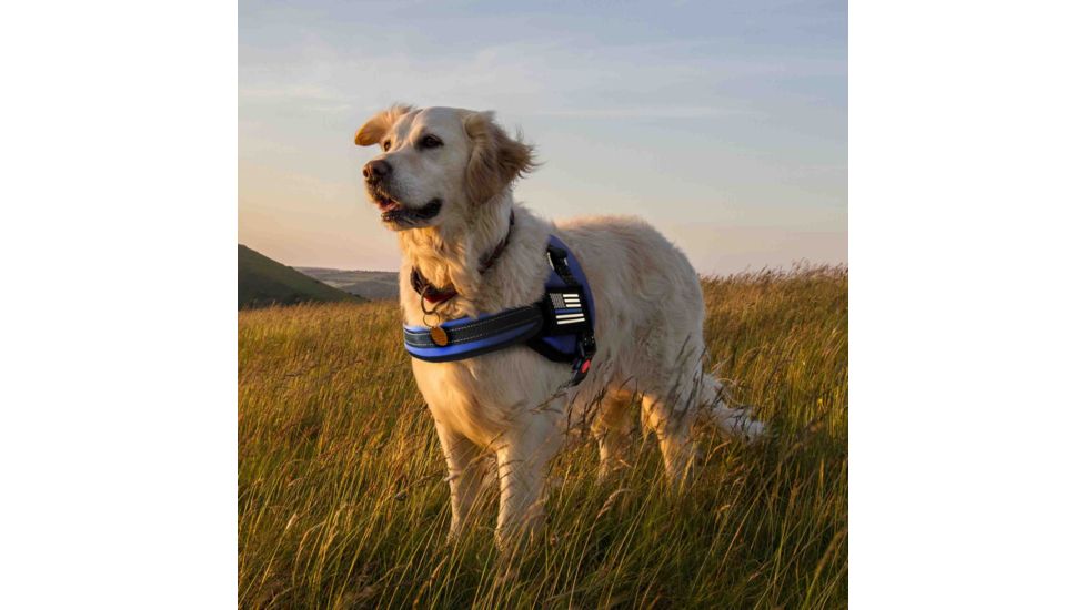 Thin Blue Line Harness With Patch, Thin Blue Line - DOG-HARN-TBL-MEDIUM-KIT