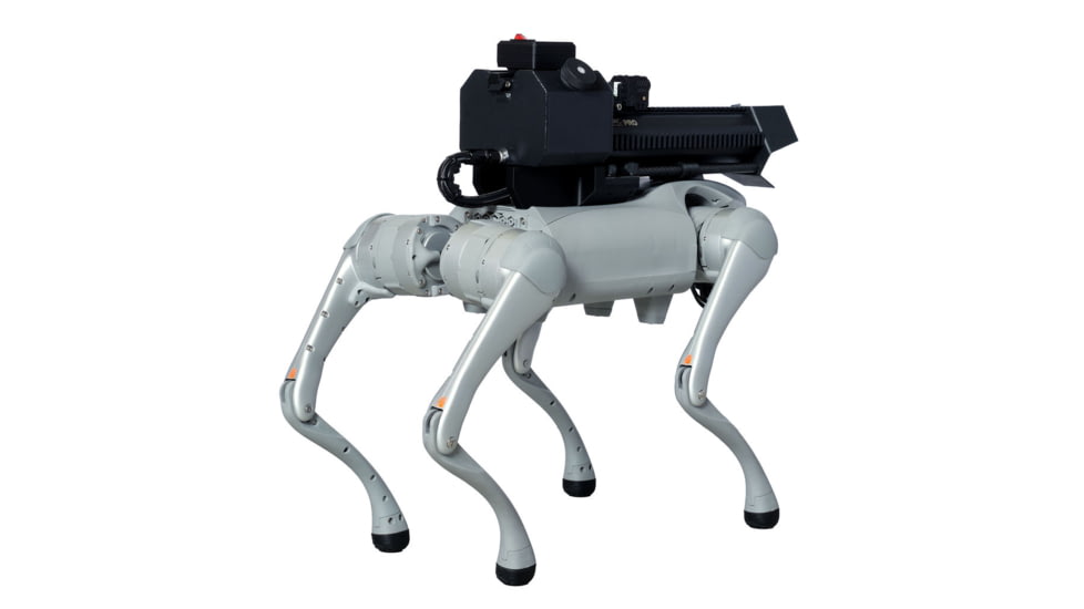 Throwflame Thermonator Flamethrower, 30 x 20 x 20 in, TF-X0030719