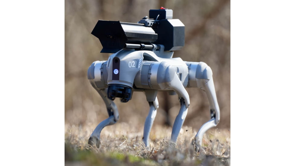 Throwflame Thermonator Flamethrower, 30 x 20 x 20 in, TF-X0030719