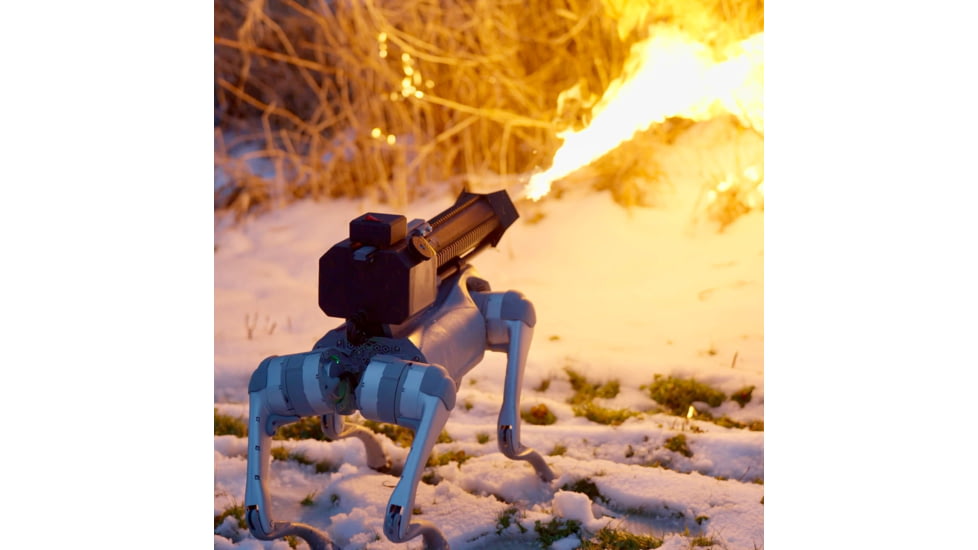 Throwflame Thermonator Flamethrower, 30 x 20 x 20 in, TF-X0030719