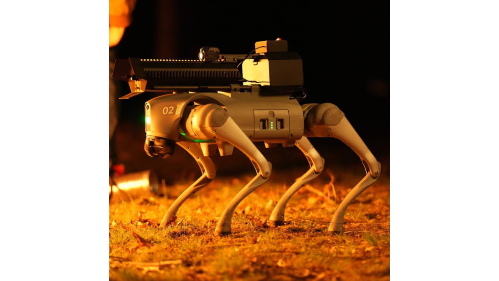 Throwflame Thermonator Flamethrower, 30 x 20 x 20 in, TF-X0030719