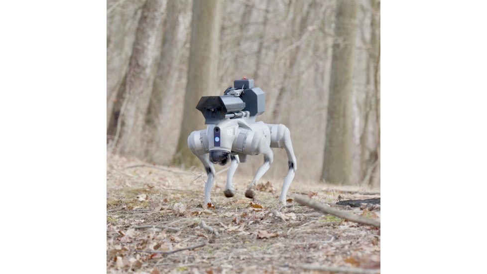 Throwflame Thermonator Flamethrower, 30 x 20 x 20 in, TF-X0030719