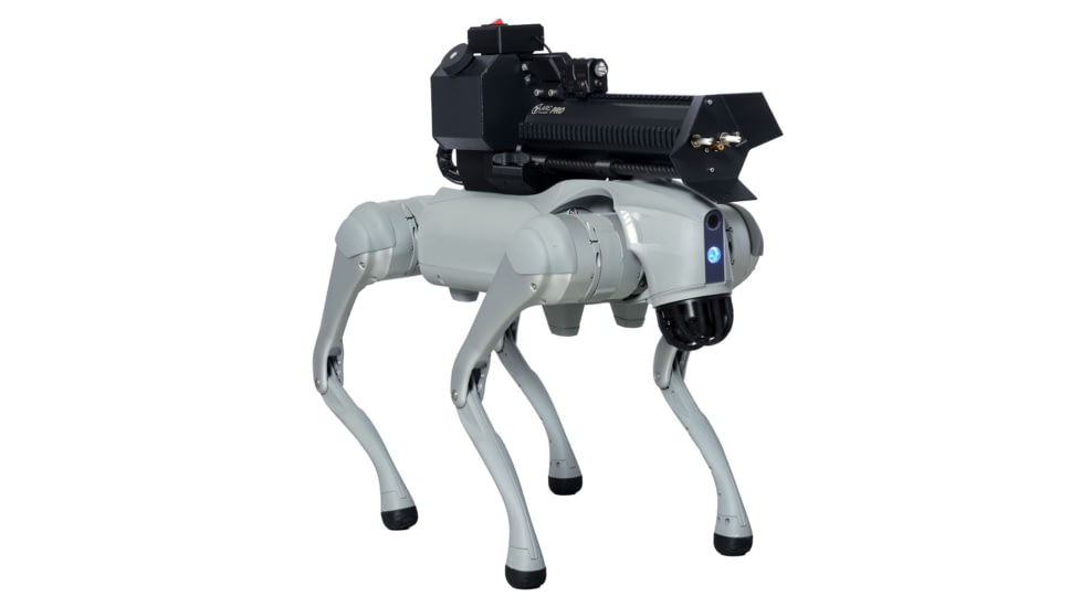 Throwflame Thermonator Flamethrower, 30 x 20 x 20 in, TF-X0030719