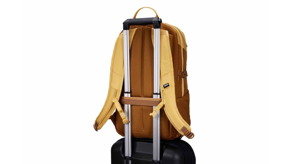 Thule EnRoute 23L Backpack, Ochre/Golden, 3204844