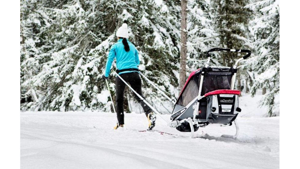 Thule Skiing/hiking Kit 20100808