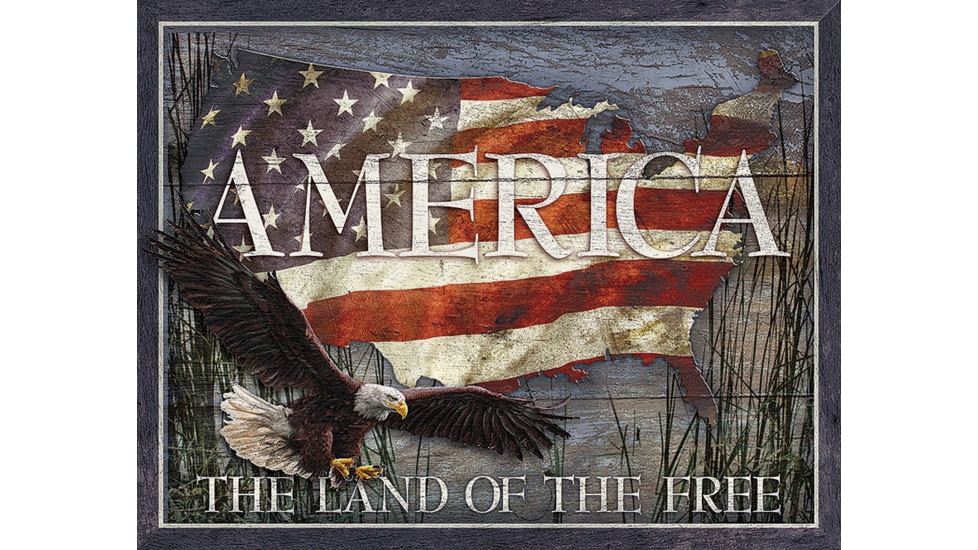 Tin Signs America Land of Free, 16in X 12.5in, 2159