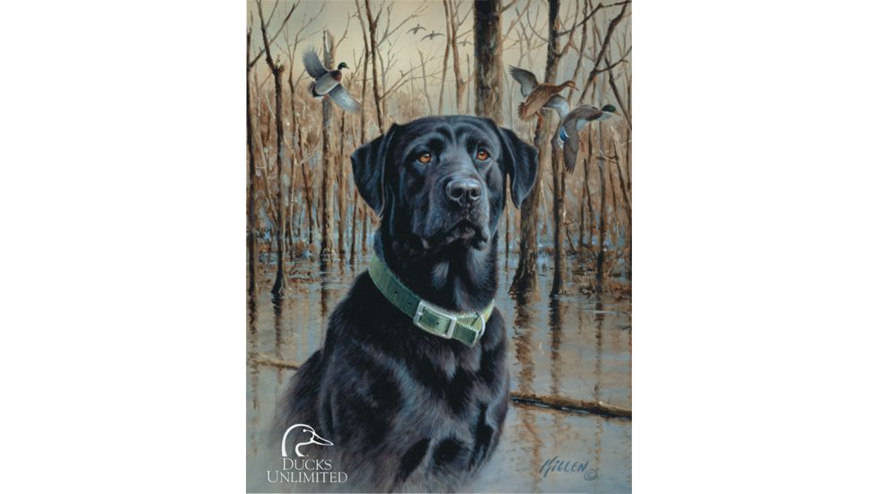 Tin Signs Ducks Unlimited Sign, Great Retreivers TSN1203