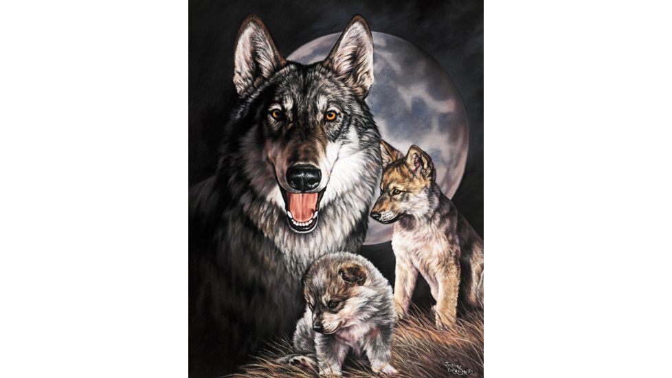 Tin Signs Graham Wolf Experienc Tin Sign TSN0914