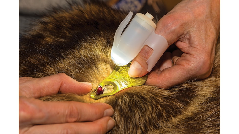 TipSee Light TickSee Tick Removal Kit, Original Tickkey, Wearable Led Flashlight, 4 Antiseptic Wipes, GR400-TSKT